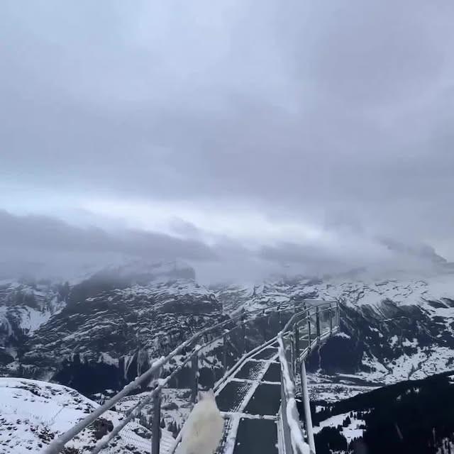  ........redworld   'recent posts' 