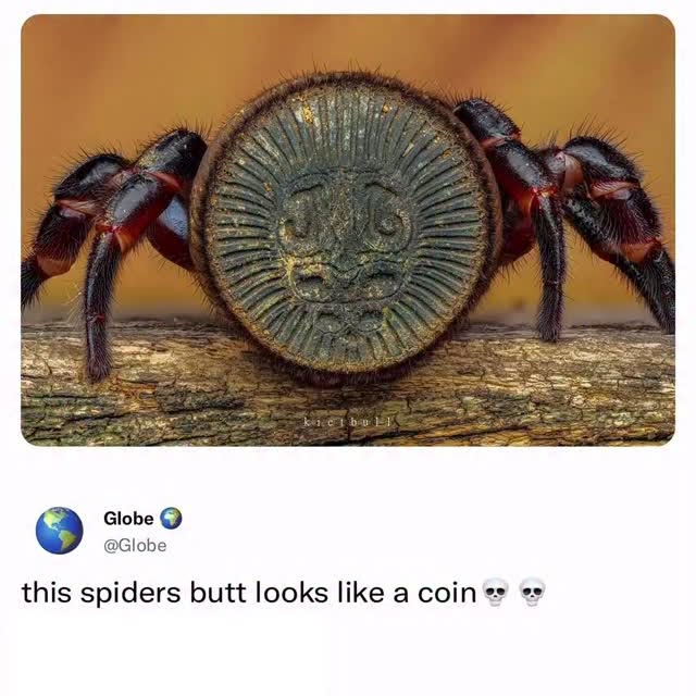  ..obe   'recent posts' 