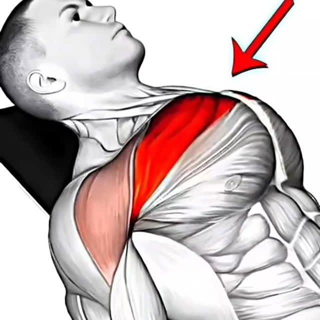  ....ash96   'recent posts' 