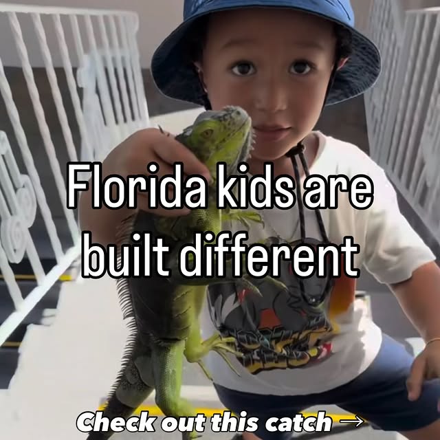  .....lorida   'recent posts' 