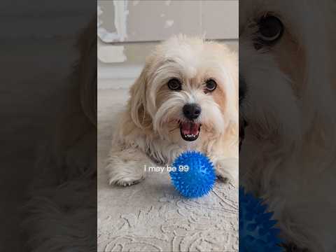  ..ni  'recent videos' 