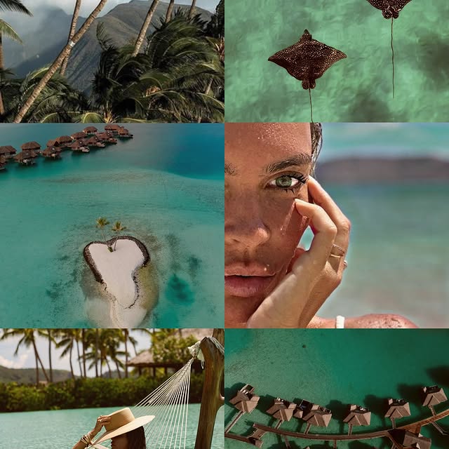  ......edustin   'recent posts' 