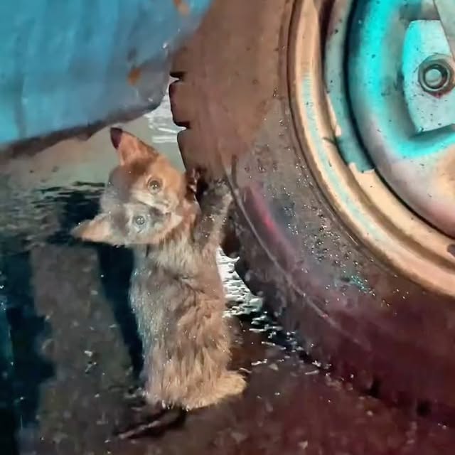  ...urre   'recent posts' 