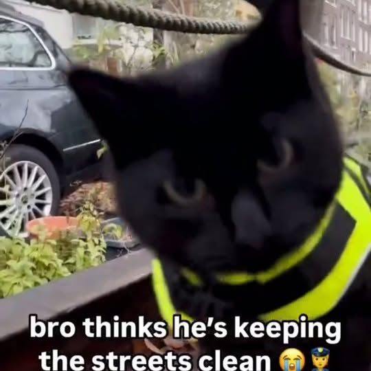  .......ats_club   'recent posts' 