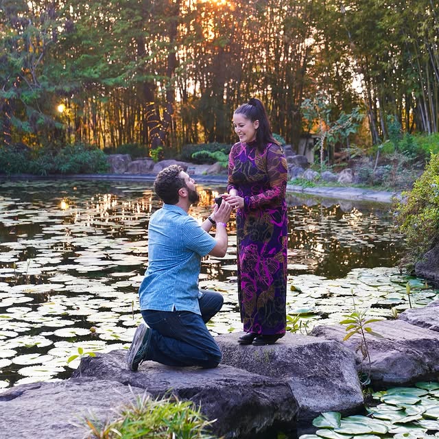  ....olson   'recent posts' 