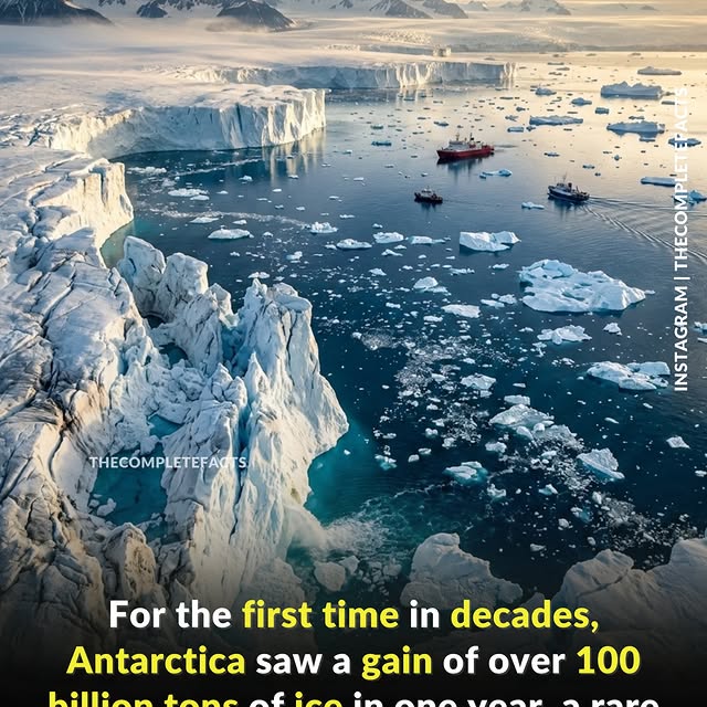  ........etefacts   'recent posts' 