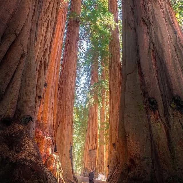  ........e.america   'recent posts' 