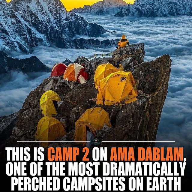  ......sfever   'recent posts' 