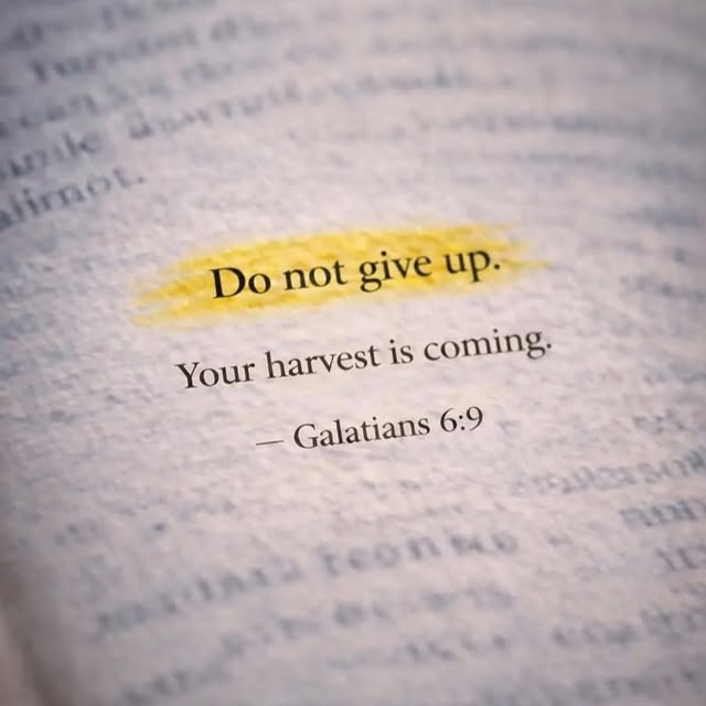  ........preaching   'recent posts' 