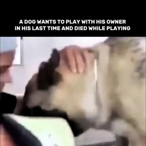  .......ereality   'recent posts' 