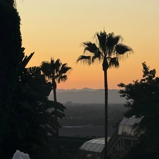  .....wilks   'recent posts' 