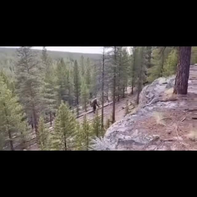  .....mystic   'recent posts' 