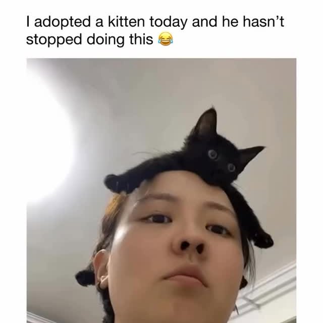  ......ctcars   'recent posts' 