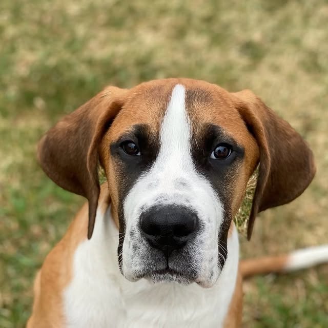  .........intbernard   'recent posts' 