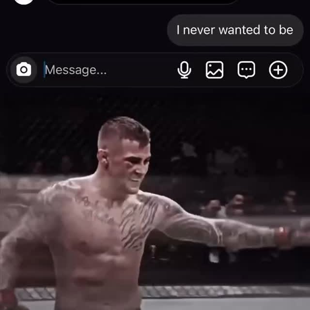  .....dgains   'recent posts' 