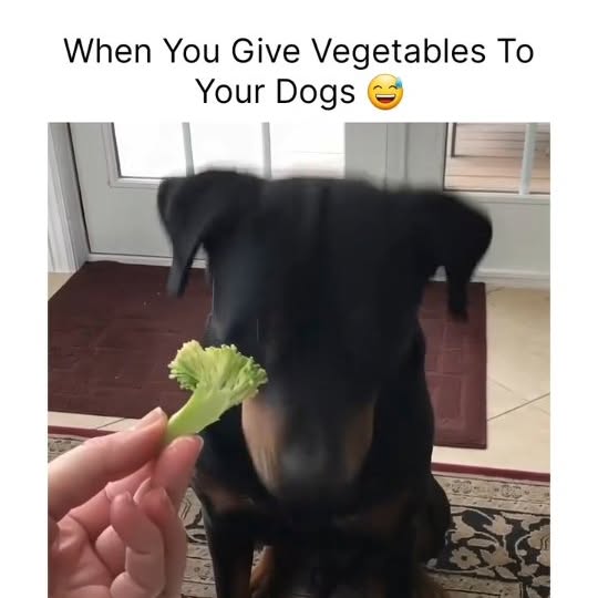  .....ibess   'recent posts' 