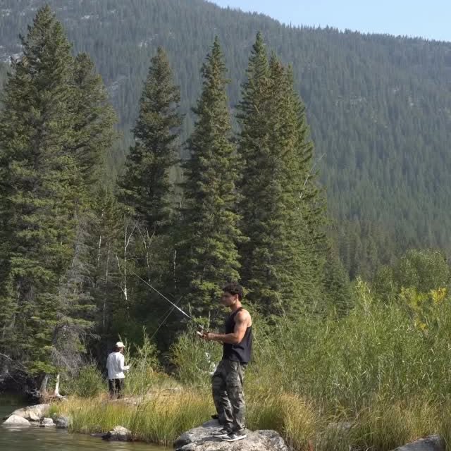  ...amfh   'recent posts' 