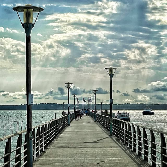  ......_viola   'recent posts' 