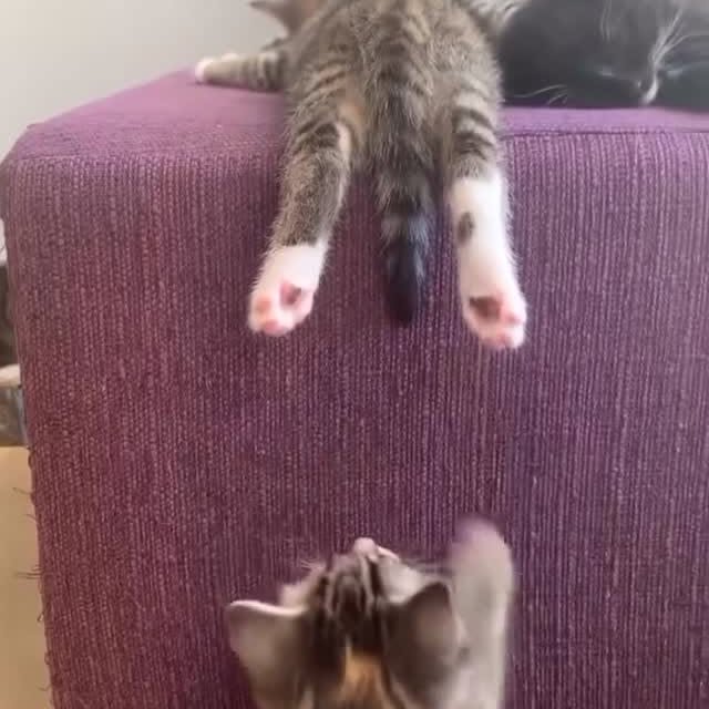  ......f_day_   'recent posts' 