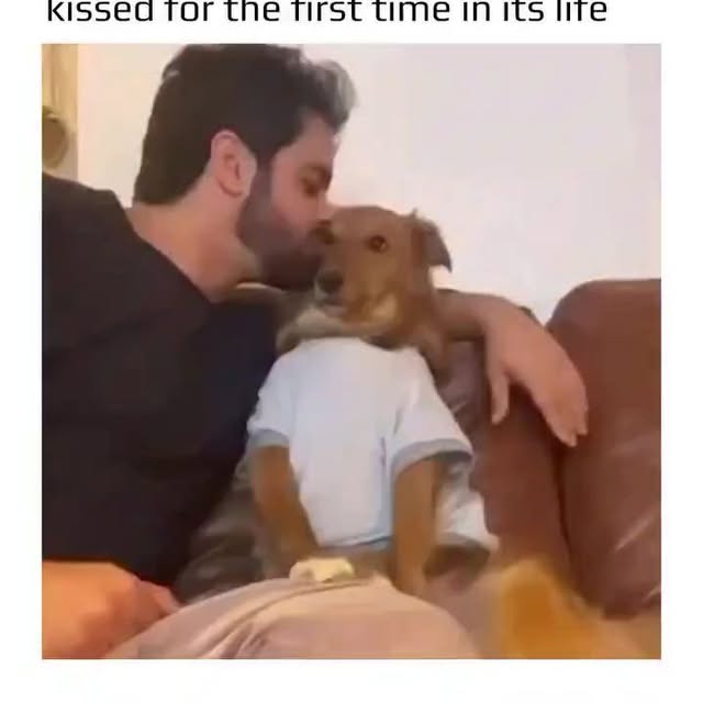  .....ibess   'recent posts' 