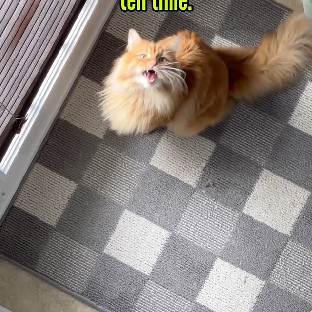  .........tofficial   'recent posts' 