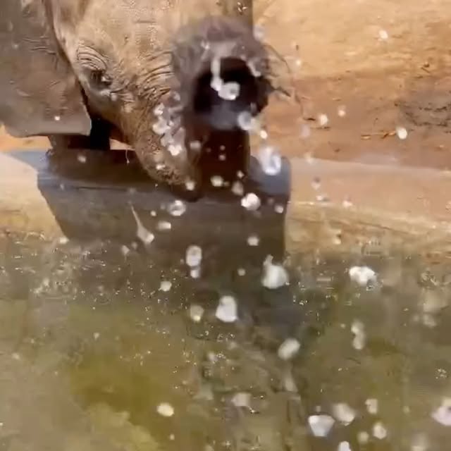  ........sofworld   'recent posts' 