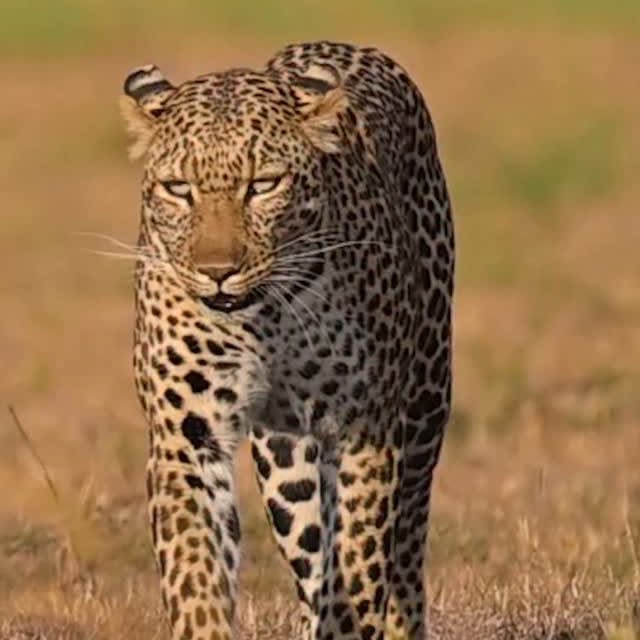  .........._sightings   'recent posts' 