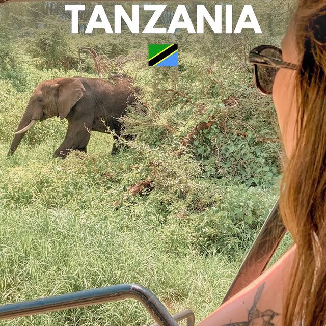  ......rimberg   'recent posts' 