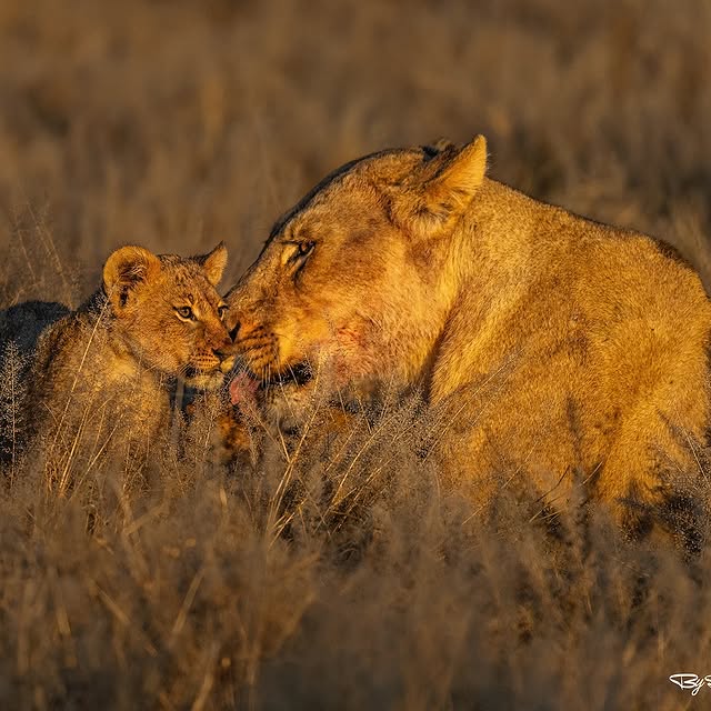  .........._sightings   'recent posts' 