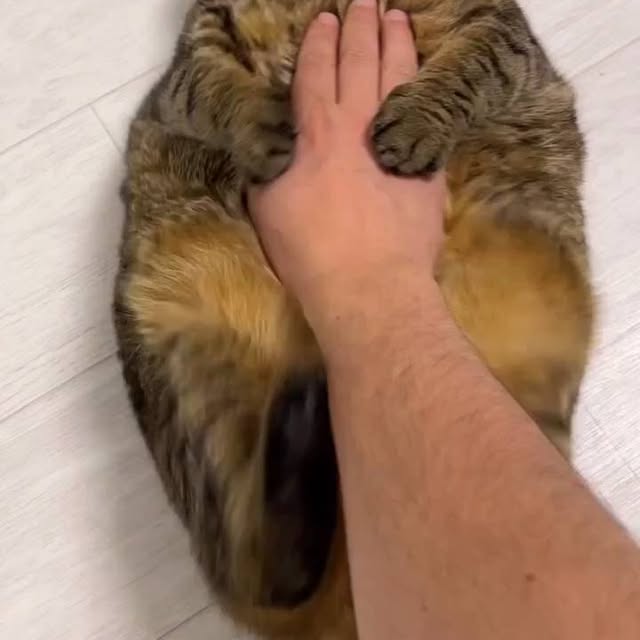  .......lecatss   'recent posts' 