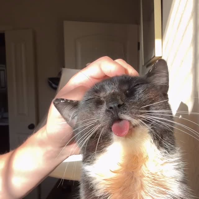  ...........irtonguesout   'recent posts' 