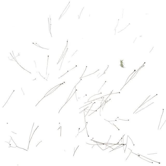  .......eng1360   'recent posts' 