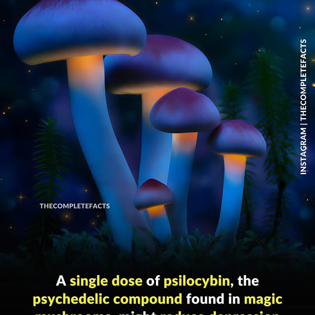  ........etefacts   'recent posts' 