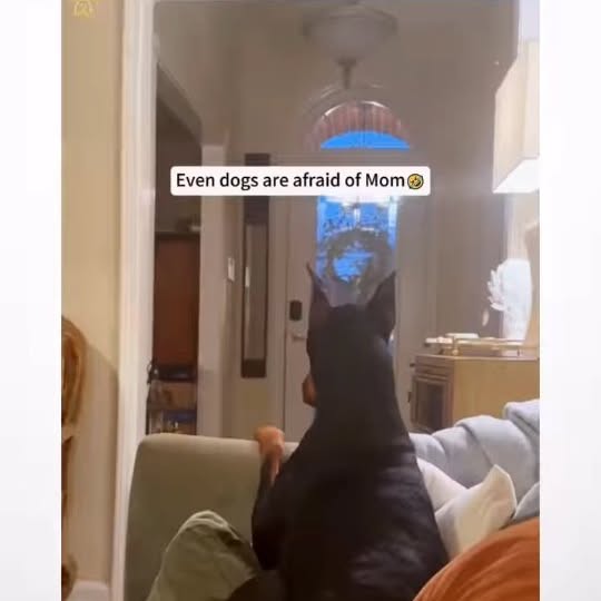  .....ibess   'recent posts' 