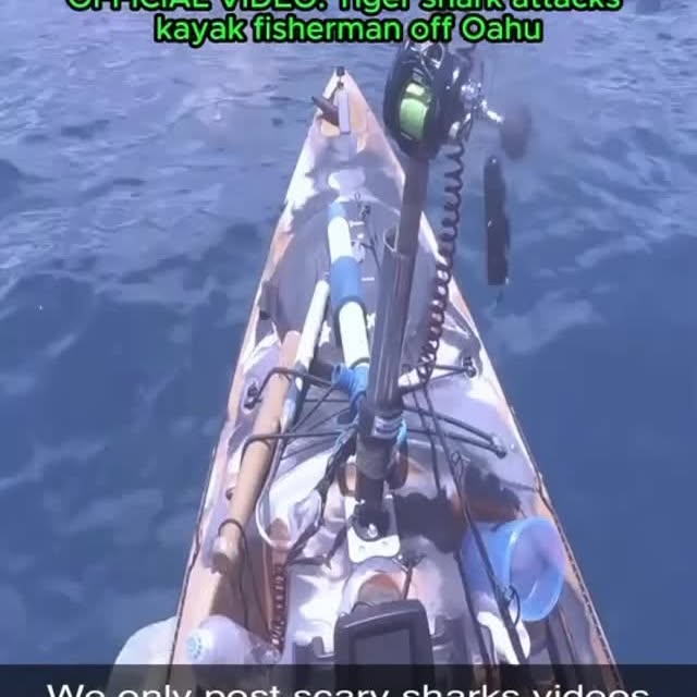  .........arkattacks   'recent posts' 