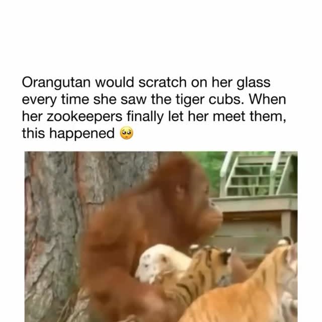  .....sarena   'recent posts' 