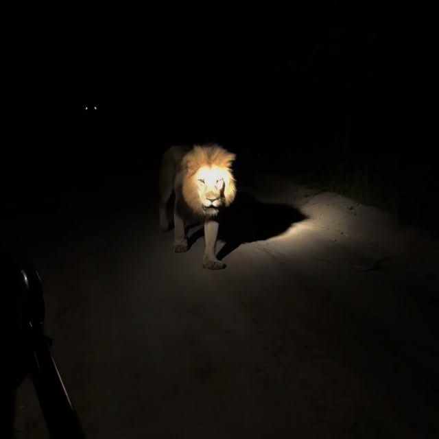  .........._sightings   'recent posts' 