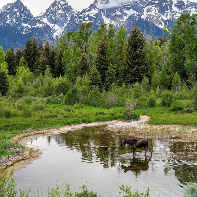  .........dventures   'recent posts' 