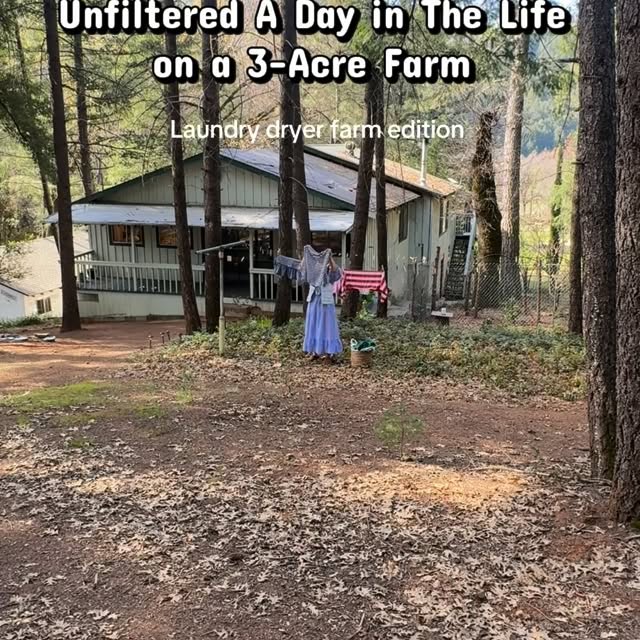  ......_diana   'recent posts' 