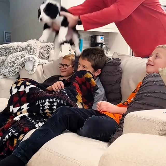  ........malsgram   'recent posts' 