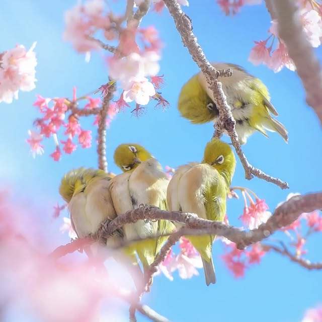  ........vacations   'recent posts' 