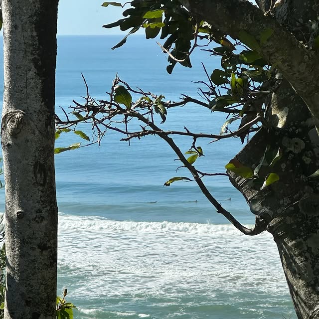  .....ecody   'recent posts' 