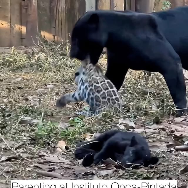  ........malsgram   'recent posts' 