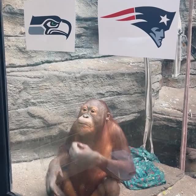  .......posting   'recent posts' 