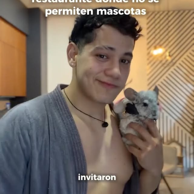  ........del_exito   'recent posts' 