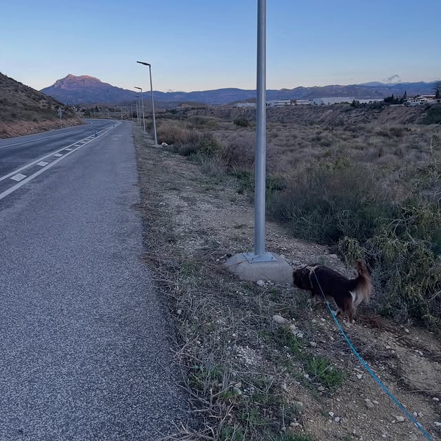  .....og2020   'recent posts' 