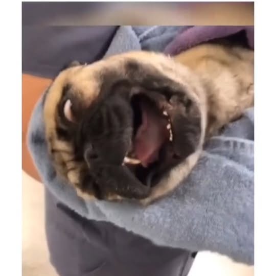  .....ibess   'recent posts' 