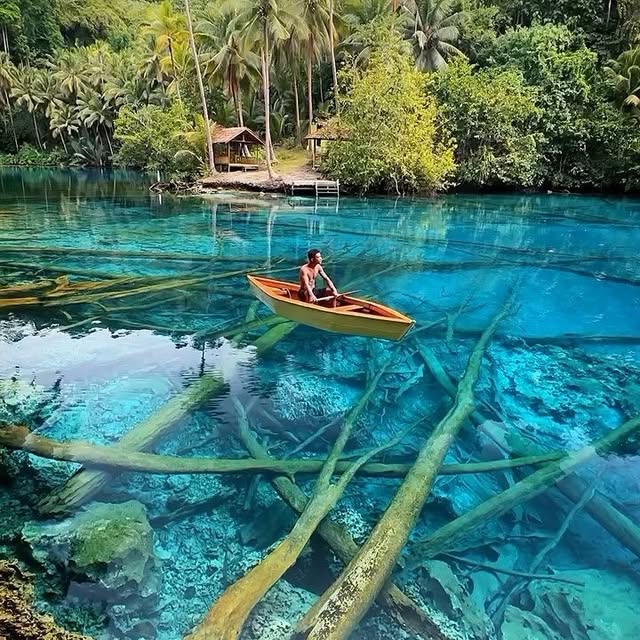  ......sfervor   'recent posts' 