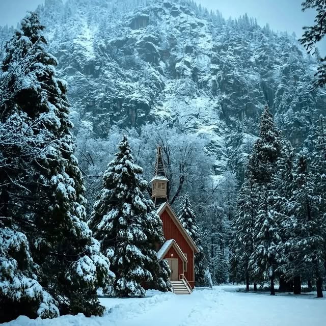  .......utevibes   'recent posts' 