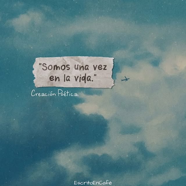  ......oencafe   'recent posts' 